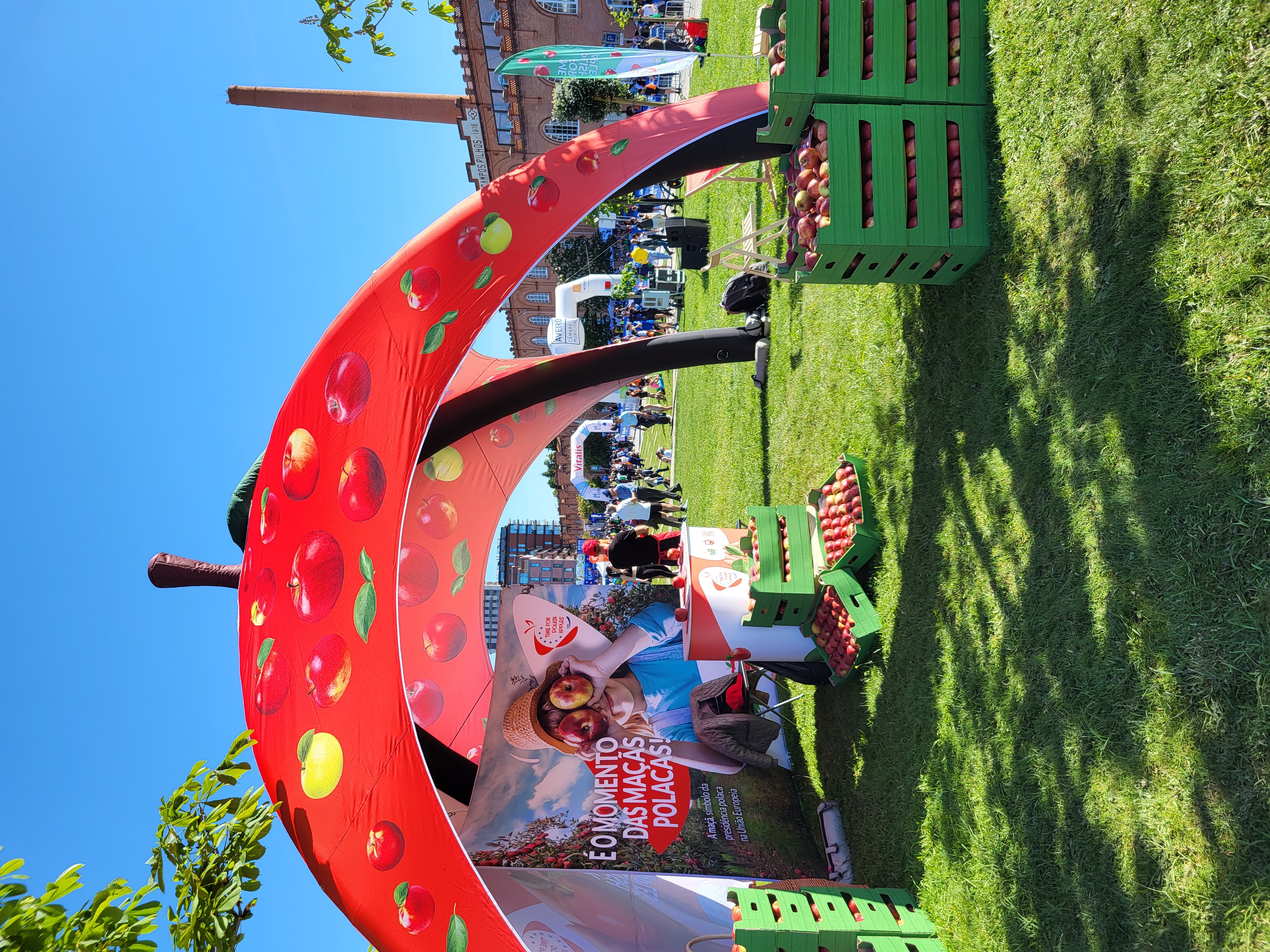 Fot. Związek Sadowników RP