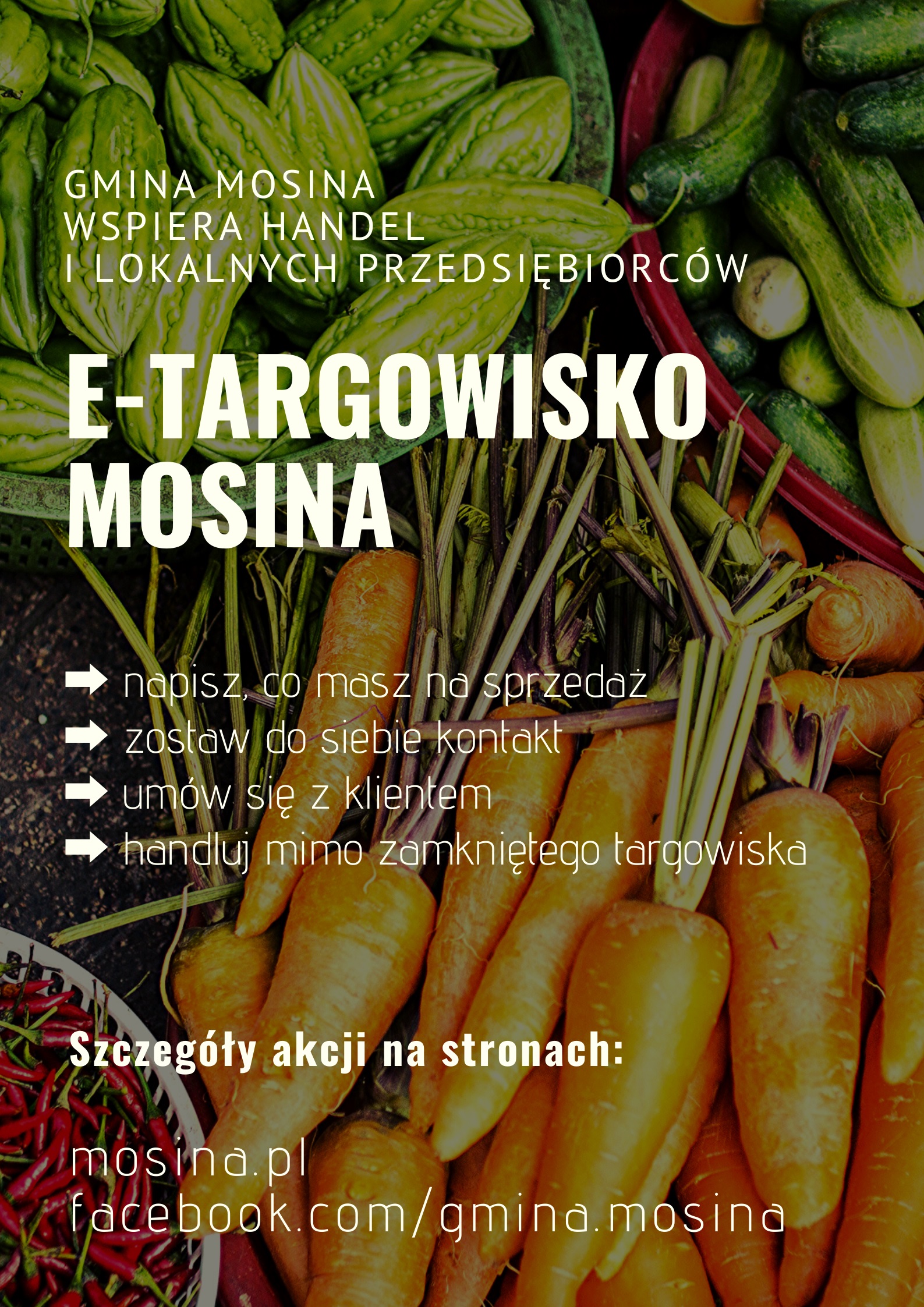Fot. UM Mosina