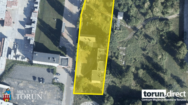 Fot. UM Toruń_1.jpg