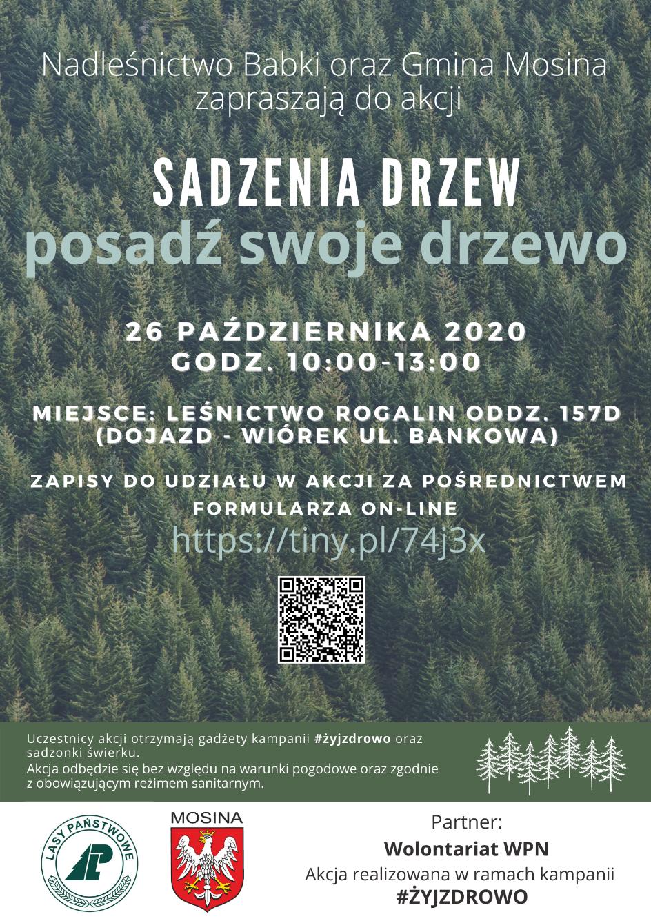 Plakat informujący o akcji sadzenia drzew na terenie leśnictwa Rogalin