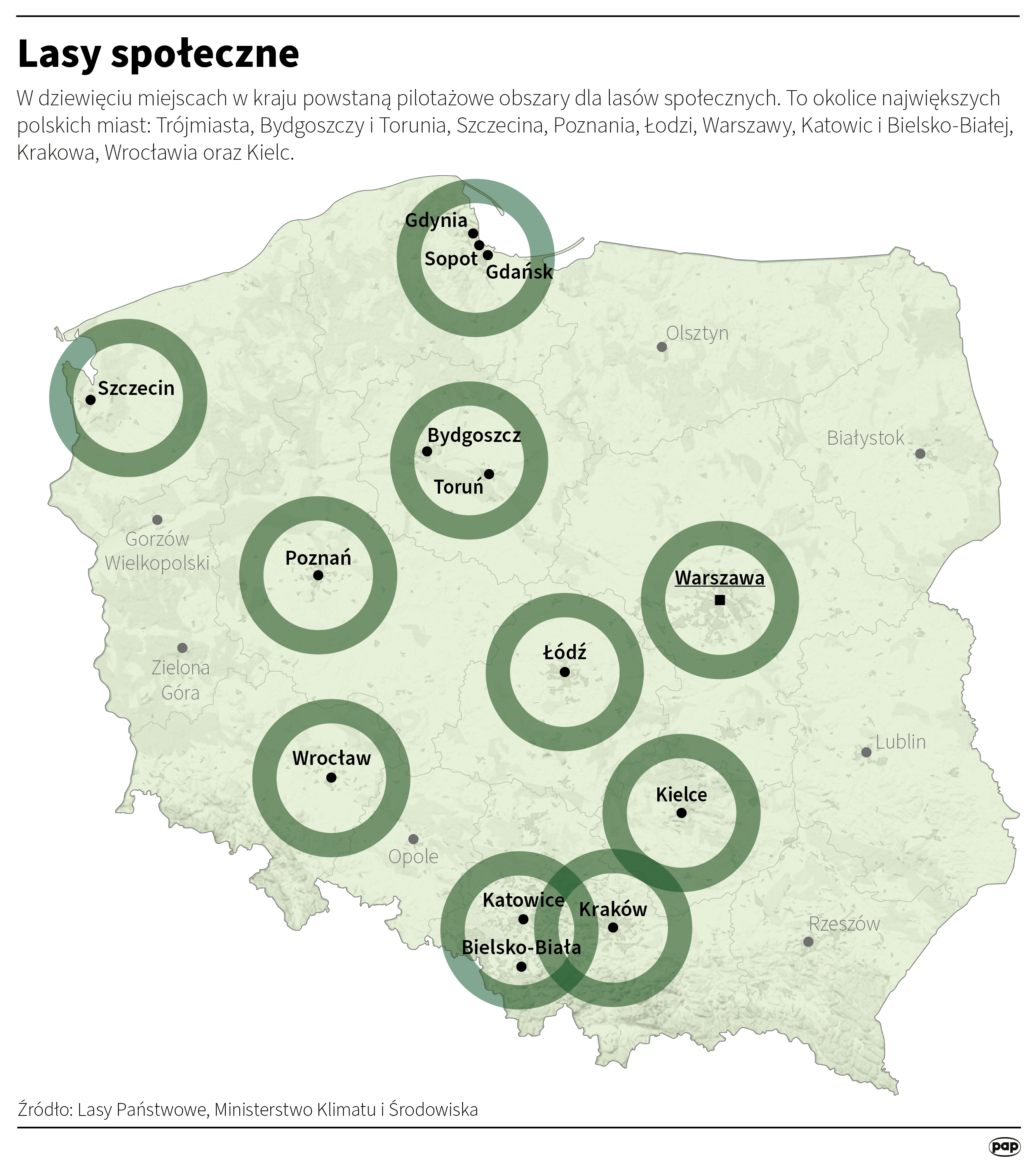 Infografika PAP