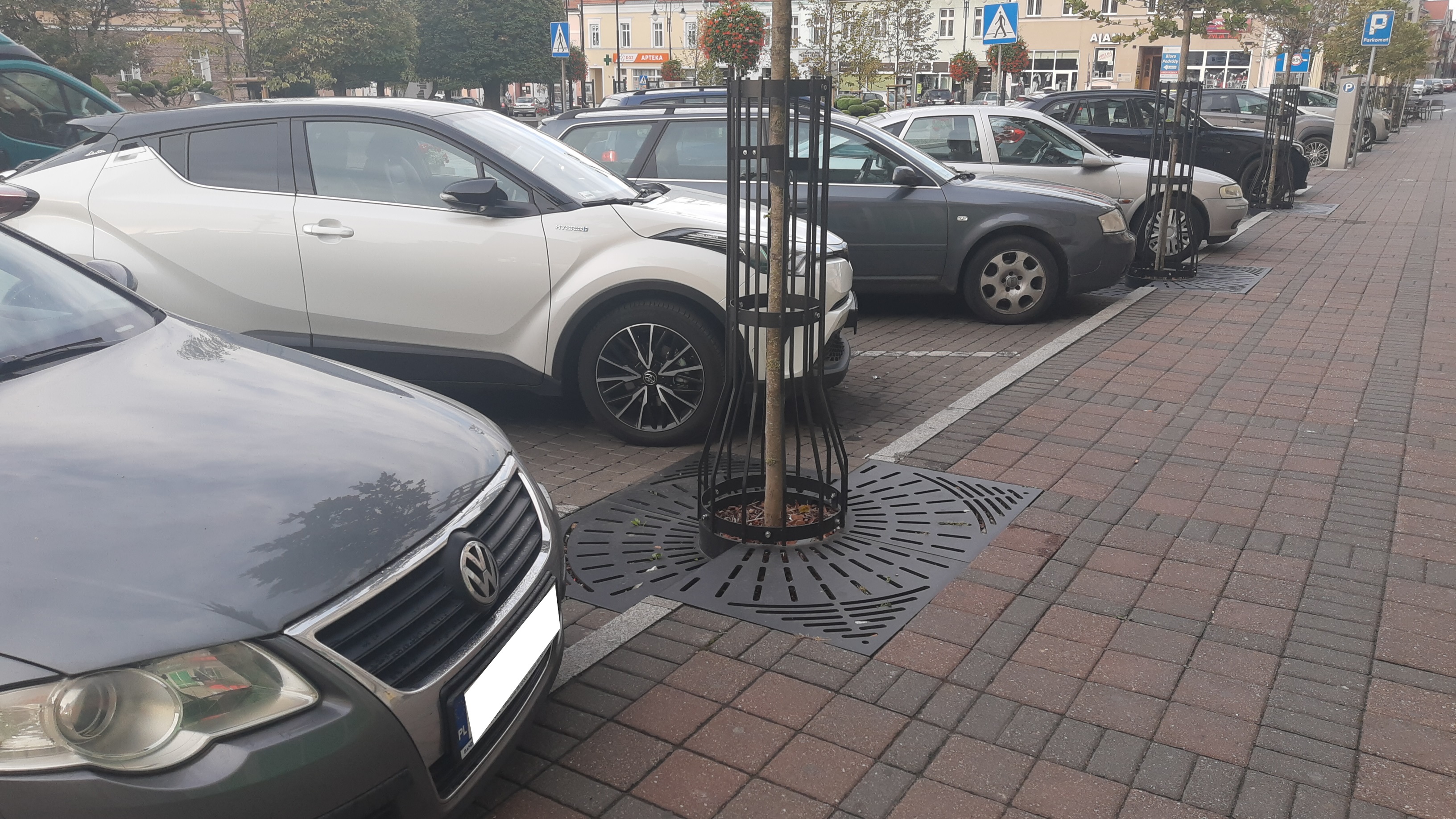 Pleszewski sposób bezinwazyjnego sadzenia drzew w mieście (Foto: archiwum UMiG w Pleszewie)