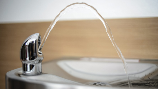 Fot. PAP/Wojciech Pacewicz