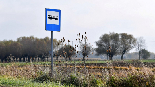 Fot. PAP/Piotr Polak