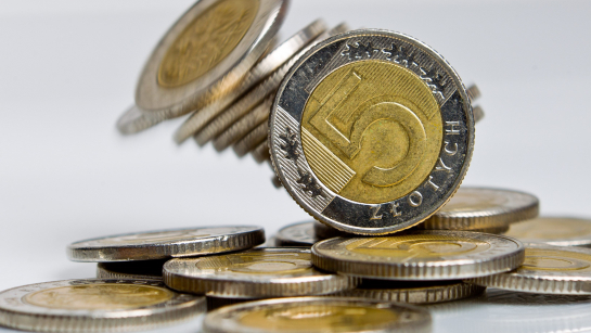 Fot. PAP/Maciej Kulczyński