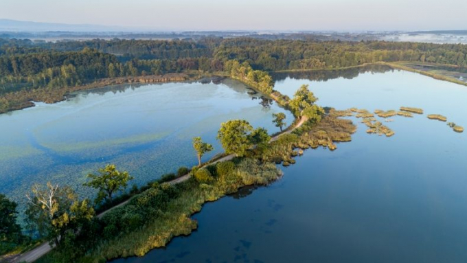 Projekty w ramach FST dla Małopolski Zachodniej mogą dotyczyć m.in. ochrony przyrody;  fot. UMWM