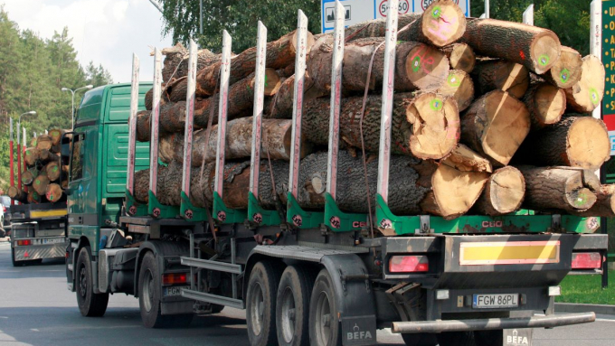 Fot. PAP/Lech Muszyński