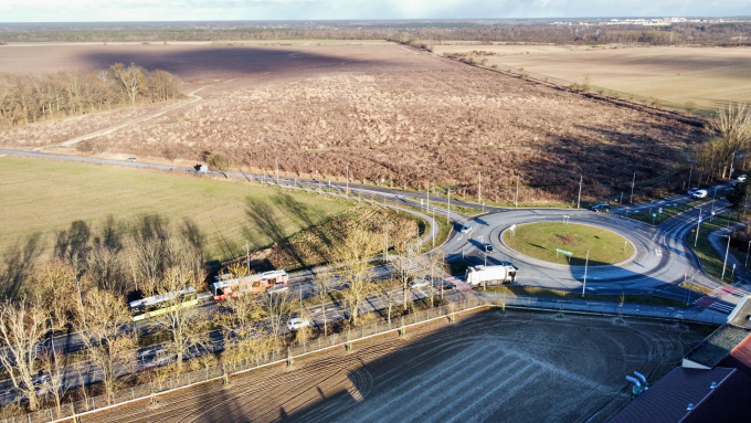 fot. PAP/Lech Muszyński