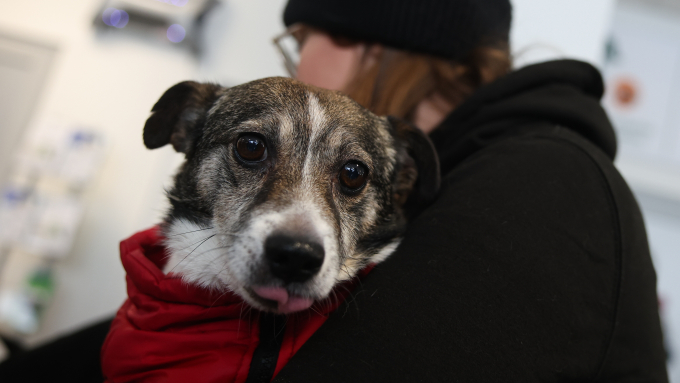 Fot. PAP/Łukasz Gągulski