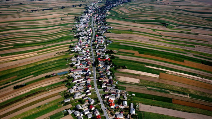 Fot. PAP/Łukasz Gągulski