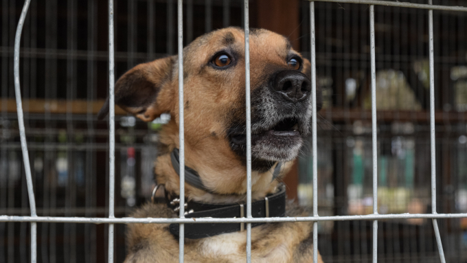 Fot. PAP/Małgorzata Sawoch