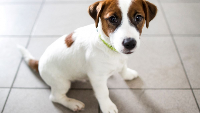 Fot. PAP/Łukasz Gągulski