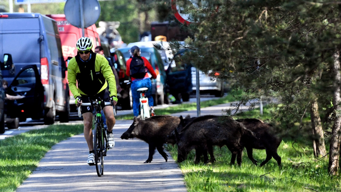 Zdjęcie ilustracyjne, fot. PAP/Marcin Bielecki
